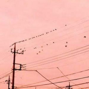 Meet your Posher, Alaa